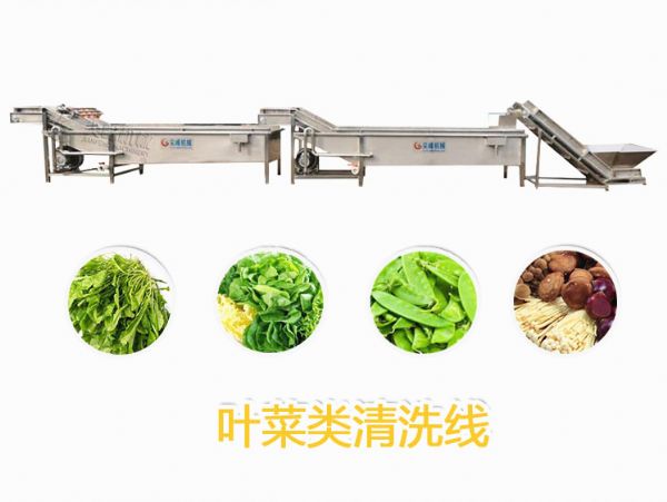 叶菜类清洗线