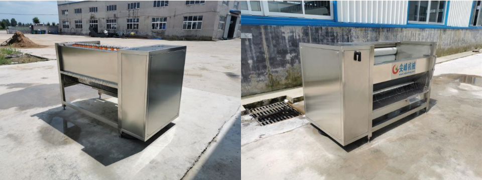 球根茎类去皮清洗机器设备